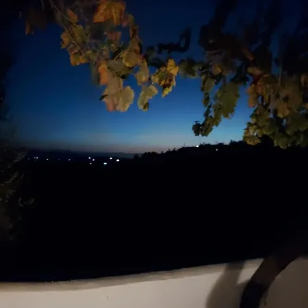 Casa Loko كوين