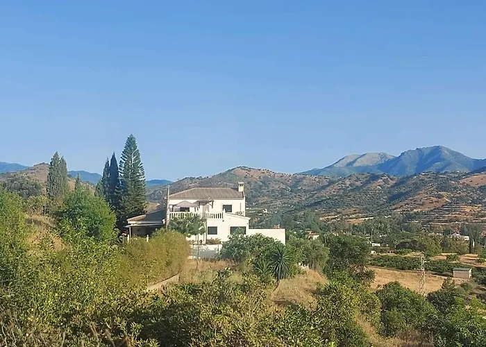 Guest house Casa Loko 4*