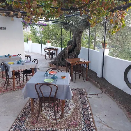 Bed and breakfast Casa Loko Coín